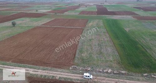 Akören Tülce Mahallesinde 3.105 M² Müstakil Tapulu Tarla