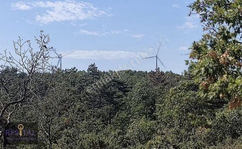 Lapseki Üçpınarda 36 Dönüm Stratejik Yatırım Arazisi