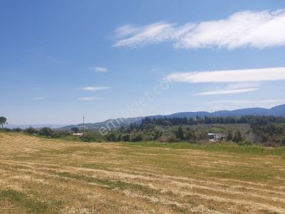 Acil Satılık Tam Yatırımlık Yayla Köy De Yola 2.parselde 120metre Mesafede