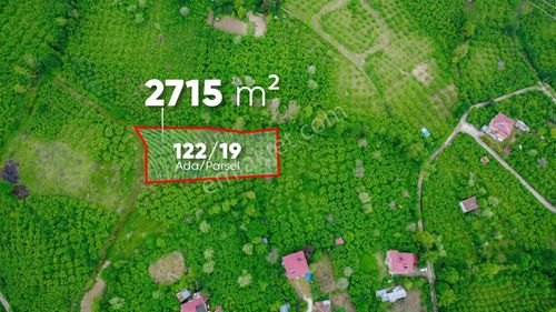 Trabzon Gölçayır Mahallesinde Satılık 2715 M2 Arazi