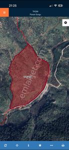 Mega Emlak'tan Satılık Dıkılı Mazılı'da 185.000 Metre² Tarla