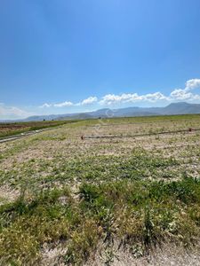 Öz Gaye Emlaktan Develi Sindelhöyük Çalılıyer Mevkinde Satılık Tarla