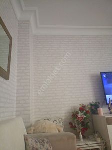 Gemlik Demirsubasisatilik
