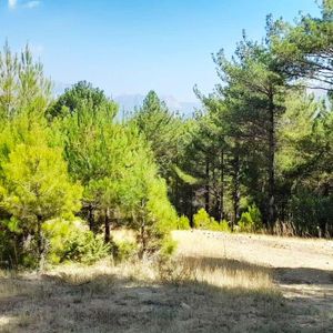 Kar Emlaktan Yenikonacık Körmenlik Mevkiinde 445m2 Satılık Arsa