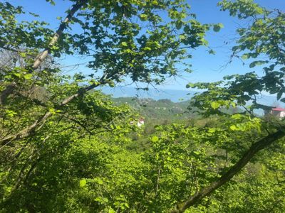 İnanç Emlaktan Keşap Altınpınar Köyünde Satılık 2143 M2 Fındık Bahçesi