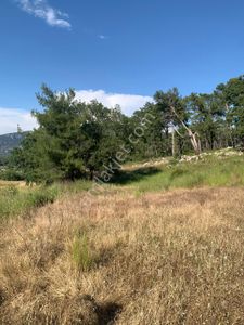 Stop’tan Göcek Merkeze 3km. 3850m² Arsa