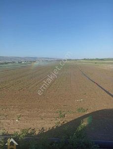 Hatice Kara'dn Sakintepe Mah.de Satılık Tarla