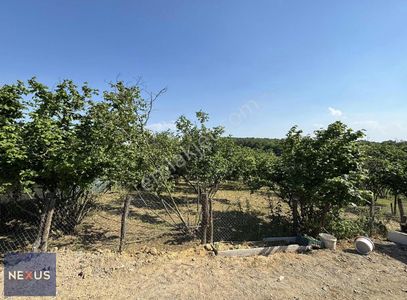 Sakarya Söğütü Mevki Satlık 701 M2 Arsa Yola Cephe 35 Metre