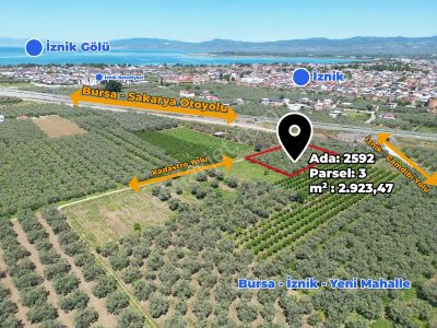 2m Yatırım'dan İznik Merkez Mahallede Fırsat Zeytinlik