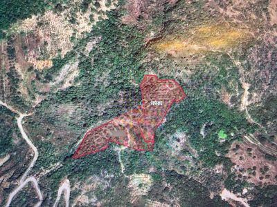 Alanya Türktaş Mah.yatırımlık Satılık 9800 M2 Tarla