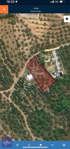 Mudanya Çepni 842m2 Zeytinlik/hobi Bahçesi -bölgenin Gözdesi-