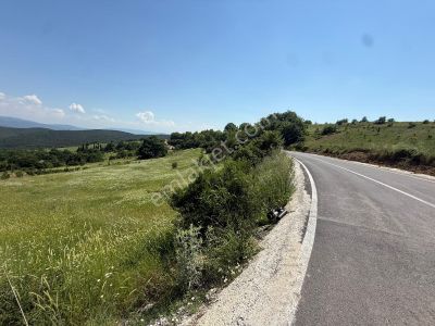 İznik - Gölcük Asfaltına Cepheli 3384 M2 Tarla