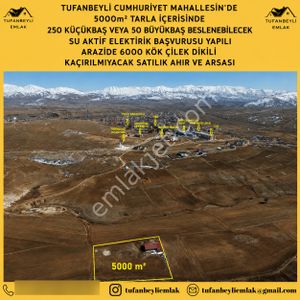Tufanbeyli Cumhuriyet Mahallesinde 5000m² Alanda Hazır İşe Başlamalık Ahır