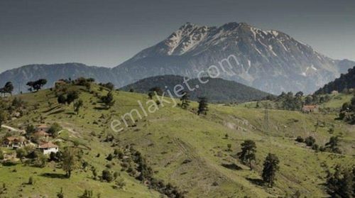 Satılık İmarlı Arsa Antalya Kemer Ovacık