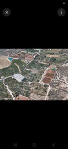 Erdemli De Satılık Dönümü 800 Tl Den 8.550m2 Limon Bahcesi