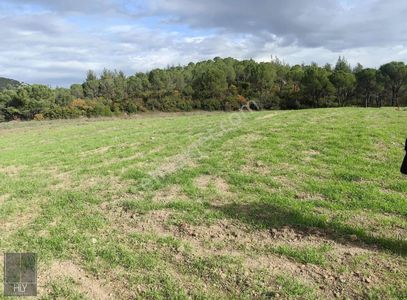 Hly Gayrimenkulden İvrindi Gökçeyazı Da 9625 M2 Satılık Tarla