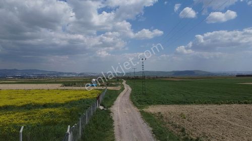 Alkan'dan Tek Tapu, Yolu Mevcut Tarla