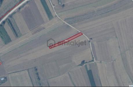 Adapazarı Kavaklıormanda 1.230 M2 Satılık Tarla !!