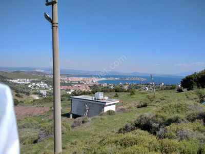 Arsa-Konut İmarlı