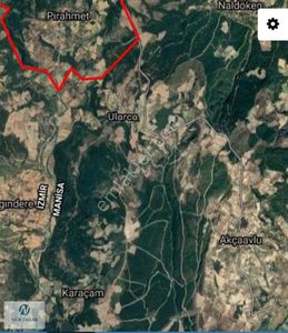 Arsa-Zeytinlik