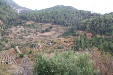 Anamur Satılık Arsa 1500 M2 Ucarı