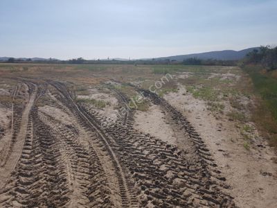 Arsa-Tarla