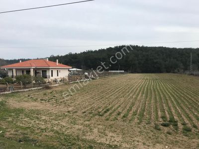 Menderes Çile Mahallesin'de Satılık Tarla Meşe Emlak'tan