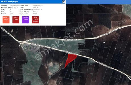 Babacandan Örcünlü'de Yola Sıfır Satılık 11.400m2 Tarla