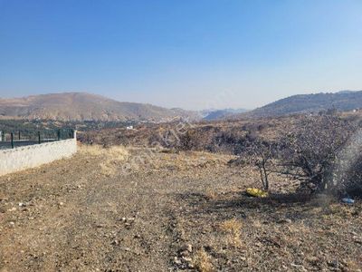 Tatköy'de Satılık Manzaralı Müstakil Etrafı Dolu Elektrik Ve Su Alınır 2355 Metrekare