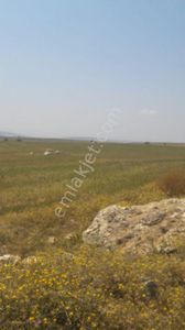 Sahibinden Satılık Tarla Eskişehir