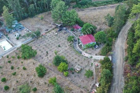 Muğla Marmaris Çamlı Köyünde 2.228m2 Satılık Tarla+ev