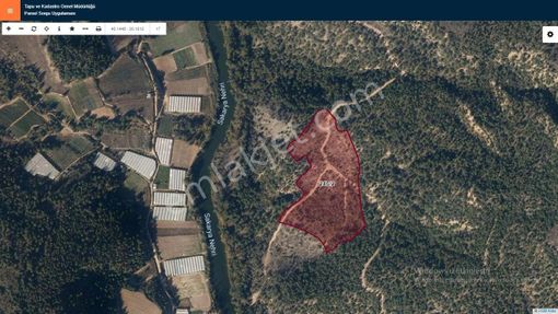 Başkan Emlaktan Satılık Söğüt Geçitli Köyünde 36.061 M2 Tarla