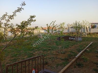 Sahibinden Sahibinden Çamlık Yanı Hazır Bahçe