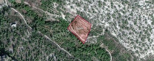 Satılık Bahçe 5242m2 Pamuklu Köyü Mut Mersin