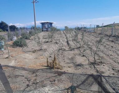 Gms Emlak'tan Karataş'ta Satılık Eşsiz Konumda 680m² Hobi Bahçesi