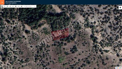 Başkan Emlaktan Satılık Bilecik Yenipazar Kavacık'ta 826 M2 Bağ