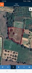 Milas Tuzabat Mahallesinde Kaçırılmayacak Satılık 1.785 M² Tarla