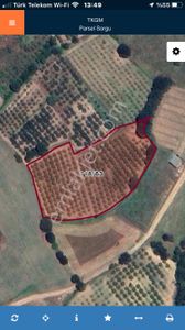 Altınbaş Emlak'tan Dipsizgöl'de Satılık Şeftali Bahçesi