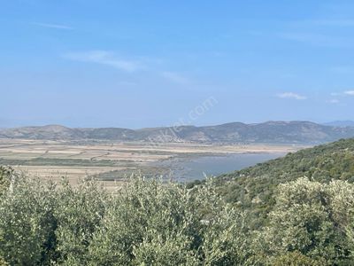 Didim Bozsekide Satılık Arsa İkisi De Köşe 831m2 Villa İmarlı