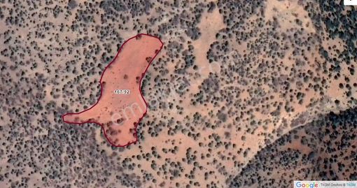 Akpınar Da Fiyatı Cazip Yatırıma Uygun Tarla