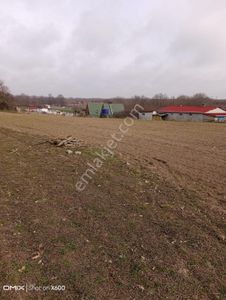 Sahibinden Tekirdağ Kapaklı Pınarça Da Satılık Tarla Mahalleye 500m Mesafe De Orman Manzaralı