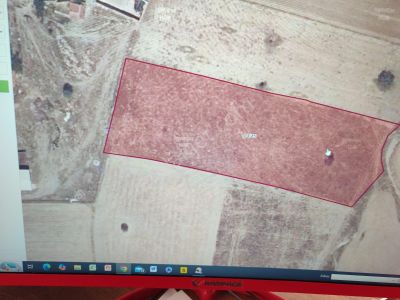 Kütahya Yoluna Yakın Tarla