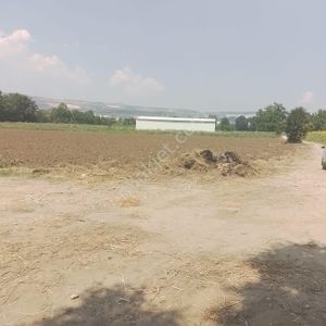 Bursa İnegöl Yeniceköy 'de Satılık Tarla