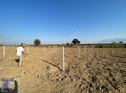 Üniversitenin Yanında Acil Satılık Tarla
