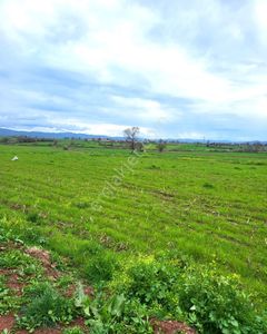 Çanakkale Biga Pekmezli Köyü Yola Cepheli Satılık Arazi