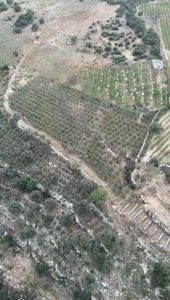 Arve'den Çelebili Köyünde Tüm Olanaklara Sahip Zeytinlik