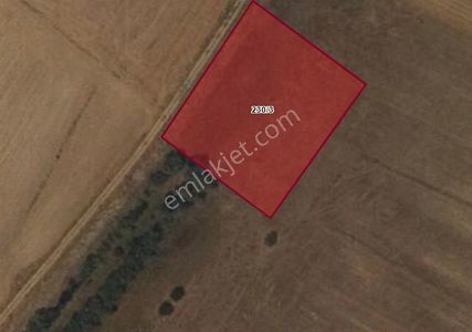 Satılık Tarla Ortaköy Balcı Köyde Tarla 230