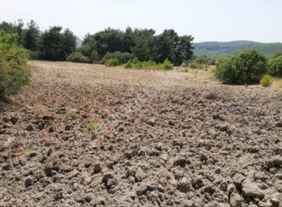 İzmir/bergamaş Koyuneli Mahallesinde Satılık Tarla