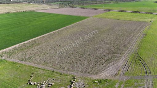 Süleymanlı Mah. Şirinköy Villaları Arkası Satılık 17.750 M² Tarla