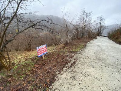 Trabzon Beşikdüzünde Satılık Arazi 11 Dönüm